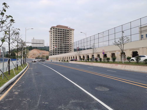 坂田北國際化學校配套道路市政工程圓滿完工